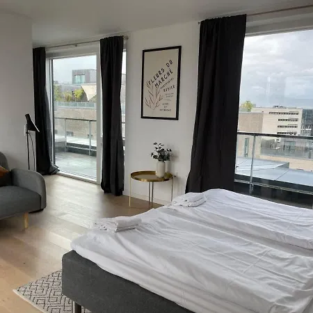 Luxury Executive Harbour Penthouse København